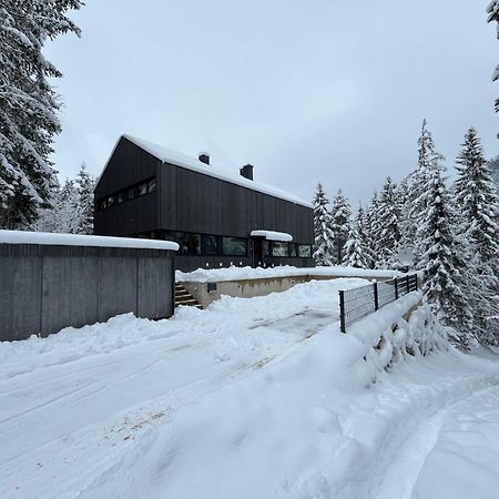 Chalet Dachstein Ramsau am Dachstein Ngoại thất bức ảnh